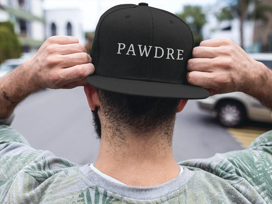 Pawdre Hat – Embroidered Dog Dad Cap for Pet Lovers - Zazations